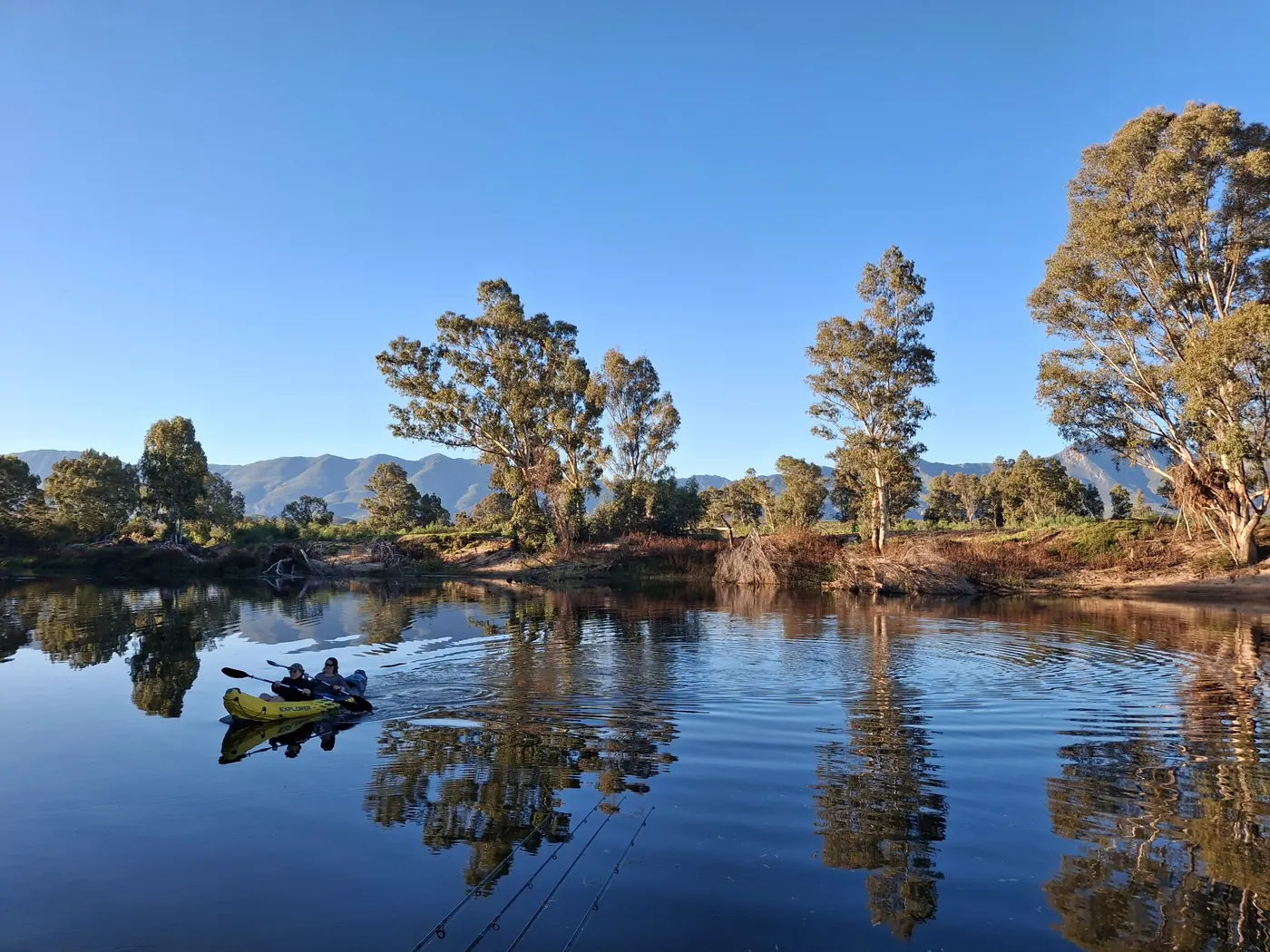 Kayaking on the Breede River at Riverhide
