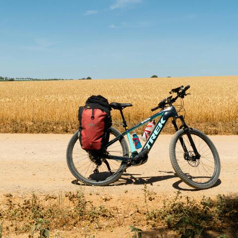 A mountain bike rests on a quiet gravel road near Riverhide, surrounded by farmlands and mountain views. Guests can explore countless scenic routes directly from the guest house — from gentle farm roads along the Breede River to adventurous gravel trails that wind between Robertson and Bonnievale. Riverhide is a true haven for cyclists seeking space, freedom, and nature on two wheels.